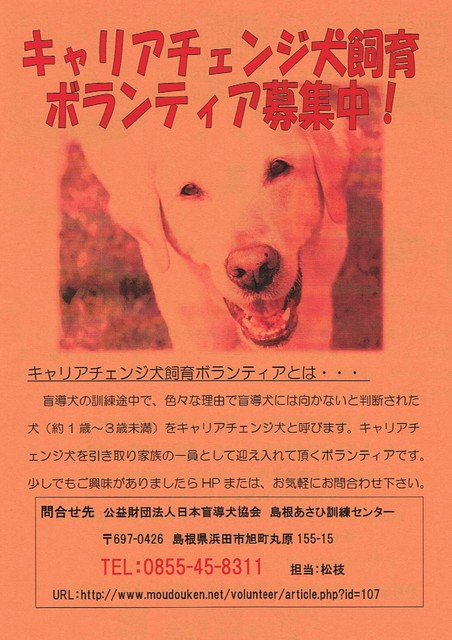 盲導犬　キャリアチェンジ犬飼育ボランティア.jpg