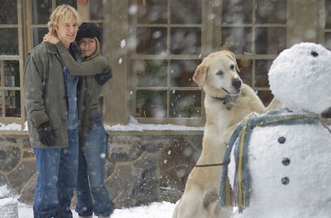 雪ダルマと犬.jpg